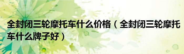 全封閉三輪摩托車(chē)什么價(jià)格(全封閉三輪摩托車(chē)什么牌子好)