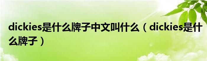dickies是什么牌子中文叫什么（dickies是什么牌子）
