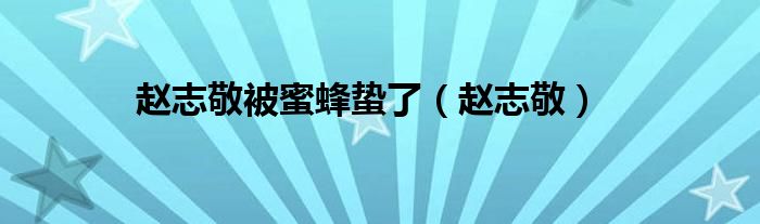 趙志敬被蜜蜂蟄了（趙志敬）