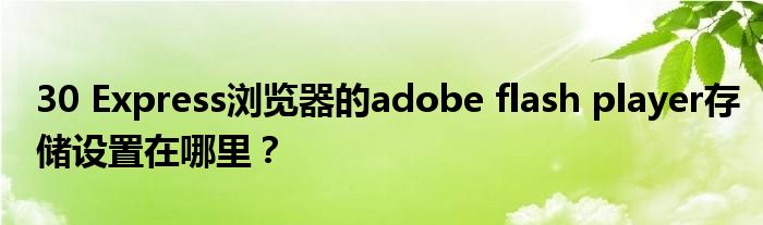 30 Express瀏覽器的adobe flash player存儲設(shè)置在哪里？