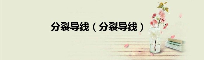 分裂導(dǎo)線（分裂導(dǎo)線）