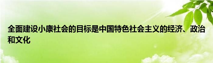 全面建設(shè)小康社會(huì)的目標(biāo)是中國(guó)特色社會(huì)主義的經(jīng)濟(jì)、政治和文化