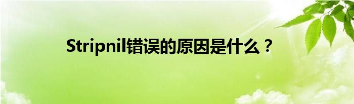 Stripnil錯誤的原因是什么？