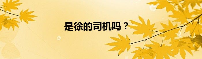 是徐的司機(jī)嗎？