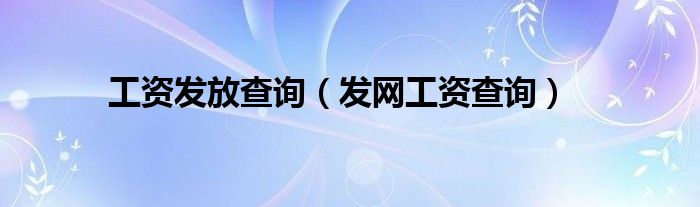 工資發(fā)放查詢（發(fā)網(wǎng)工資查詢）