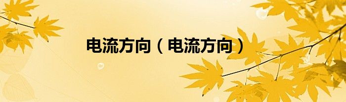 電流方向（電流方向）
