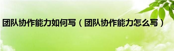 團隊協(xié)作能力如何寫（團隊協(xié)作能力怎么寫）