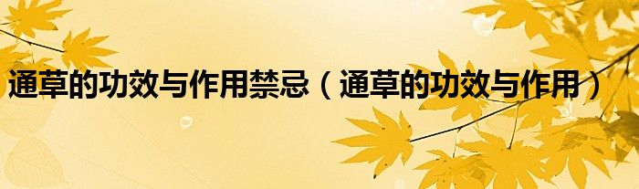 通草的功效與作用禁忌（通草的功效與作用）