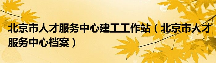 北京市人才服務(wù)中心建工工作站（北京市人才服務(wù)中心檔案）