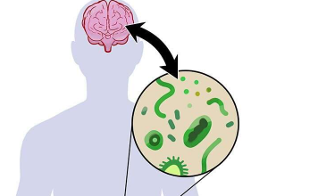 新研究將腸道微生物組置于帕金森病發(fā)病機(jī)制的中心