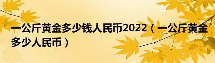一公斤黃金多少錢人民幣2022（一公斤黃金多少人民幣）