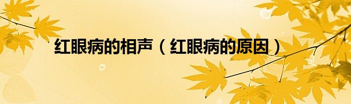 紅眼病的相聲（紅眼病的原因）