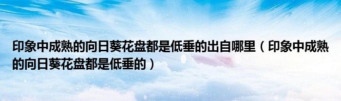 印象中成熟的向日葵花盤都是低垂的出自哪里（印象中成熟的向日葵花盤都是低垂的）
