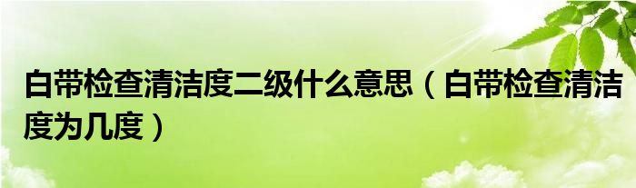 白帶檢查清潔度二級什么意思（白帶檢查清潔度為幾度）