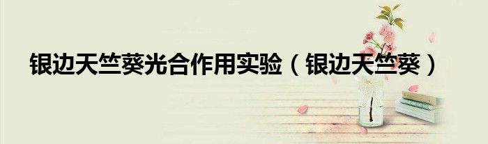 銀邊天竺葵光合作用實驗（銀邊天竺葵）