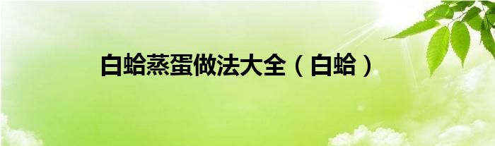 白蛤蒸蛋做法大全（白蛤）