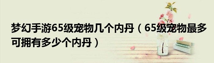 夢幻手游65級寵物幾個內(nèi)丹（65級寵物最多可擁有多少個內(nèi)丹）