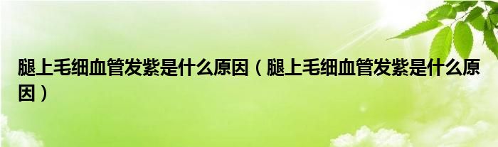 腿上毛細(xì)血管發(fā)紫是什么原因（腿上毛細(xì)血管發(fā)紫是什么原因）