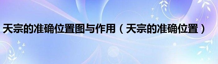 天宗的準(zhǔn)確位置圖與作用(天宗的準(zhǔn)確位置)