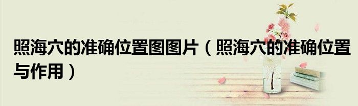 照海穴的準(zhǔn)確位置圖圖片（照海穴的準(zhǔn)確位置與作用）
