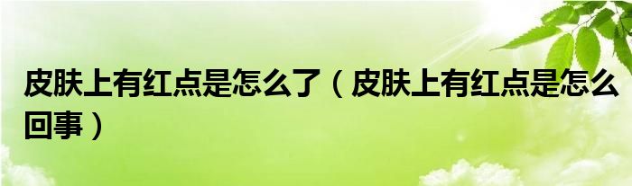 皮膚上有紅點(diǎn)是怎么了(皮膚上有紅點(diǎn)是怎么回事)