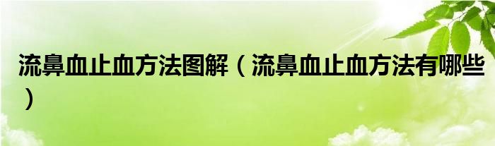 流鼻血止血方法圖解（流鼻血止血方法有哪些）