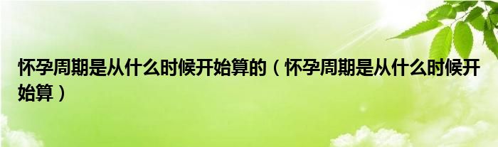 懷孕周期是從什么時候開始算的（懷孕周期是從什么時候開始算）