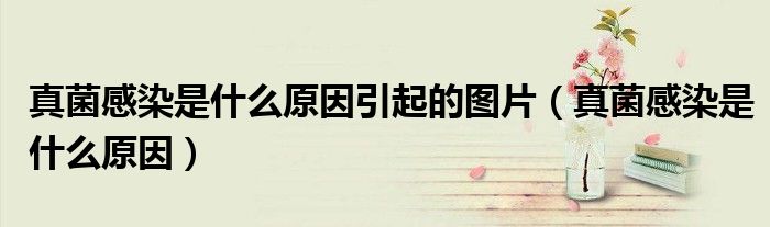 真菌感染是什么原因引起的圖片（真菌感染是什么原因）