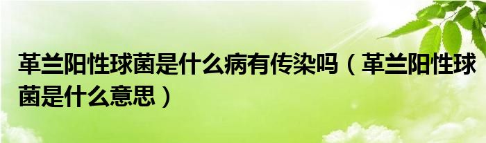 革蘭陽性球菌是什么病有傳染嗎（革蘭陽性球菌是什么意思）