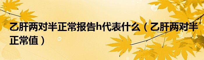 乙肝兩對(duì)半正常報(bào)告h代表什么（乙肝兩對(duì)半正常值）