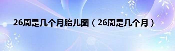 26周是幾個(gè)月胎兒圖(26周是幾個(gè)月)