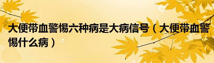 大便帶血警惕六種病是大病信號(hào)（大便帶血警惕什么?。?class='thumb lazy' /></a>
		    <header>
		<h2><a  href=