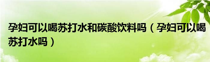孕婦可以喝蘇打水和碳酸飲料嗎（孕婦可以喝蘇打水嗎）