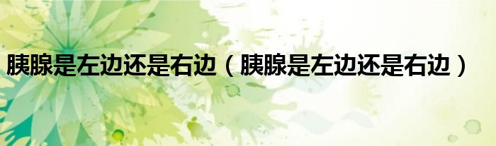 胰腺是左邊還是右邊（胰腺是左邊還是右邊）