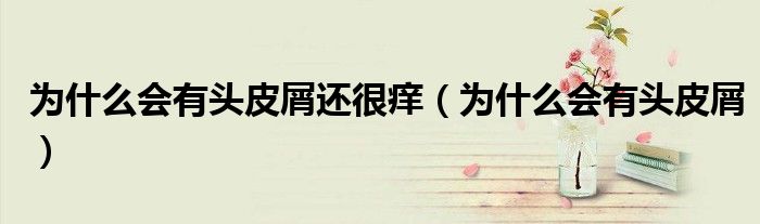 為什么會有頭皮屑還很癢(為什么會有頭皮屑)