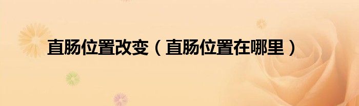 直腸位置改變（直腸位置在哪里）