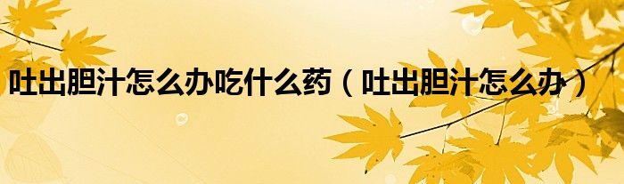 吐出膽汁怎么辦吃什么藥（吐出膽汁怎么辦）