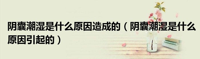 陰囊潮濕是什么原因造成的（陰囊潮濕是什么原因引起的）
