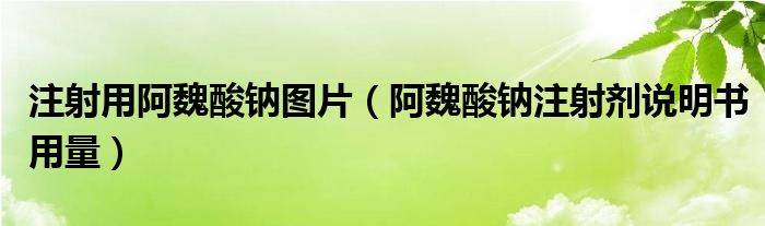 注射用阿魏酸鈉圖片（阿魏酸鈉注射劑說明書用量）