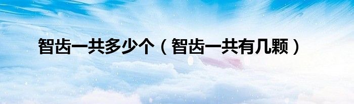 智齒一共多少個(gè)（智齒一共有幾顆）