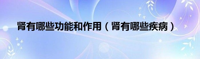 腎有哪些功能和作用（腎有哪些疾病）