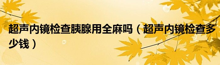 超聲內(nèi)鏡檢查胰腺用全麻嗎（超聲內(nèi)鏡檢查多少錢）
