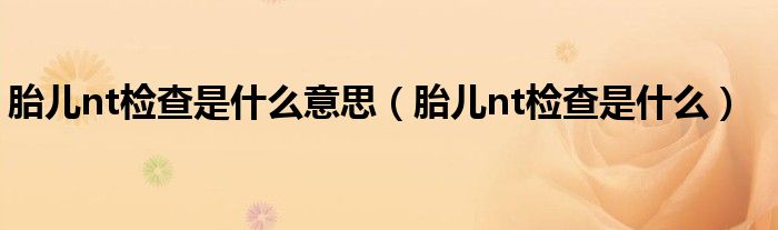 胎兒nt檢查是什么意思（胎兒nt檢查是什么）