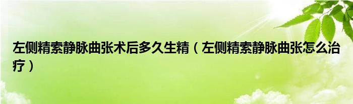左側(cè)精索靜脈曲張術(shù)后多久生精（左側(cè)精索靜脈曲張?jiān)趺粗委煟?class='thumb lazy' /></a>
		    <header>
		<h2><a  href=