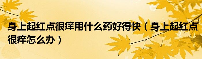 身上起紅點(diǎn)很癢用什么藥好得快（身上起紅點(diǎn)很癢怎么辦）