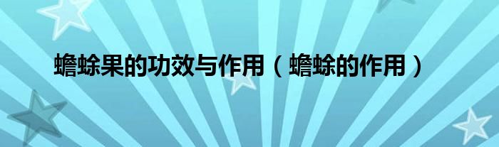 蟾蜍果的功效與作用（蟾蜍的作用）