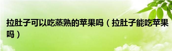 拉肚子可以吃蒸熟的蘋果嗎(拉肚子能吃蘋果嗎)