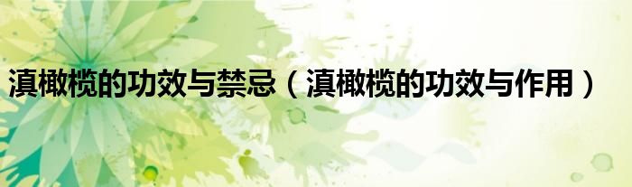 滇橄欖的功效與禁忌（滇橄欖的功效與作用）
