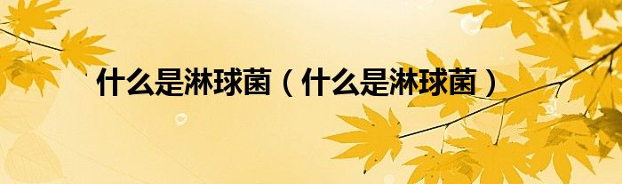 什么是淋球菌（什么是淋球菌）