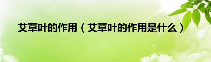 艾草葉的作用（艾草葉的作用是什么）